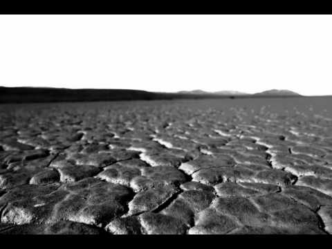 High Class Trash - Wasted Youth