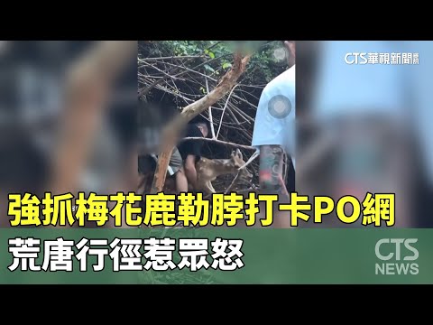 強抓梅花鹿勒脖打卡PO網　荒唐行徑惹眾怒