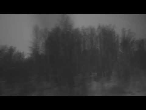 Leo Abrahams & Shahzad Ismaily - Vestris Lament [official video]