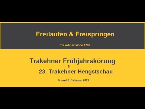 Trakehner Frühjahrskörung 2022 - Freilaufen und Freispringen