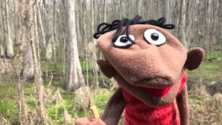 Search for the Forbidden [blank]: In the Bayou