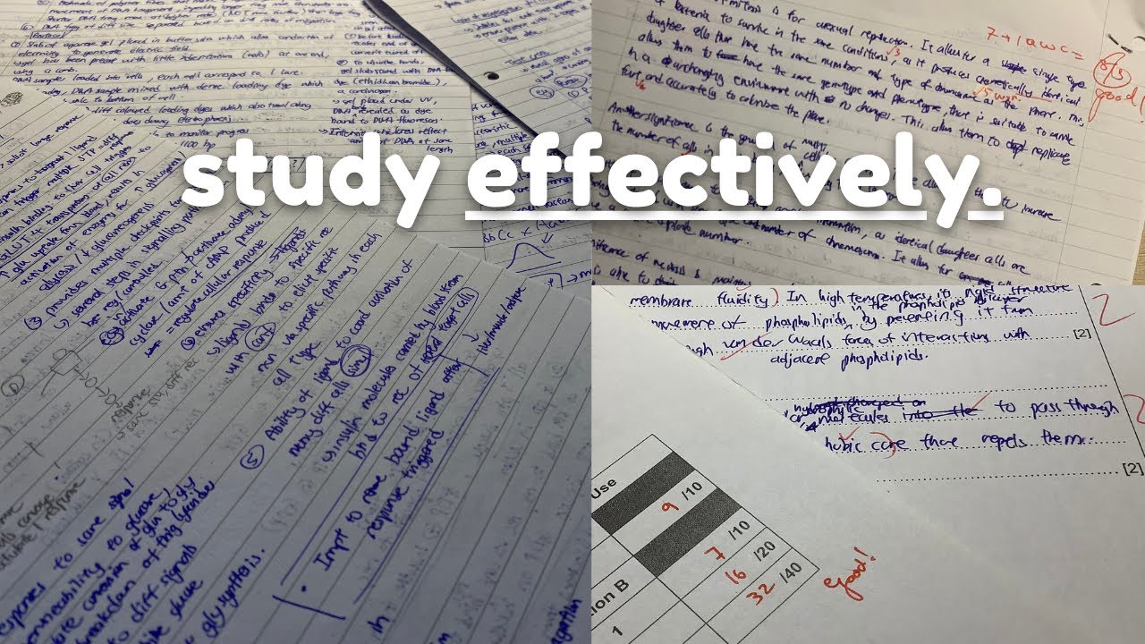 If you give me 5 minutes, I will make sure you ace your next test.