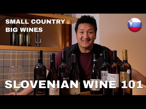 Slovenian Wine 101