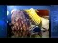 Be Our Guest Vinegar Jim S Mp4