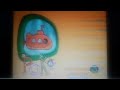 Poko Créditos Latinoamérica Y Discovery Networks Temporada 2 Episodio 1
