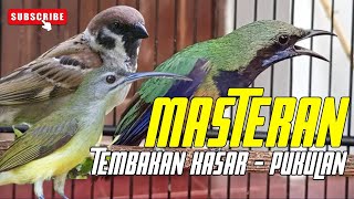 Download lagu LEDAKAN KASARAN-MENJERIT || BESETAN TAJEM - CUNGKOK GEREJA TARUNG - TEPUS || KUNTI MENJERIT PANJANG mp3 Download lagu LEDAKAN KASARAN-MENJERIT || BESETAN TAJEM - CUNGKOK GEREJA TARUNG - TEPUS || KUNTI MENJERIT PANJANG mp3
