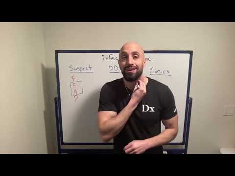 Infectious Mononucleosis (RLRCPSolvers.com)