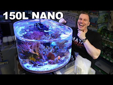 The 150-liter STADIUM AQUARIUM is finished!! - This effect is incredible...