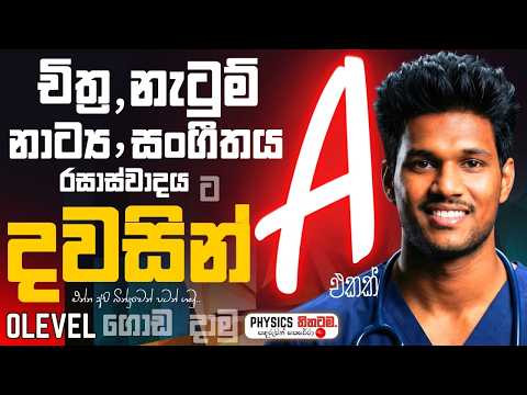 OL දෙවෙනි කාණ්ඩයට දවසින් A එකක් |අද පටන් ගත්තත් ගොඩ |The Ultimate 1 Day Study Plan OL Arts Subjects
