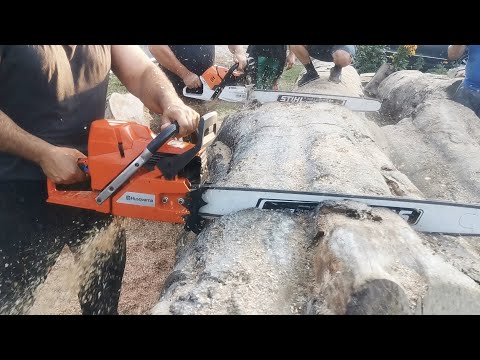 Husqvarna 395xp 7.1HP vs. Stihl ms500i 6.8HP in racing mod, 100cm beech