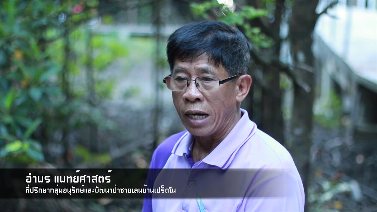 Ban Pred Nai Mangrove Forest