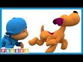 👦 POCOYO in ENGLISH - A Dog's Life 👦 | Full Episodes | VIDEOS and CARTOONS FOR KIDS