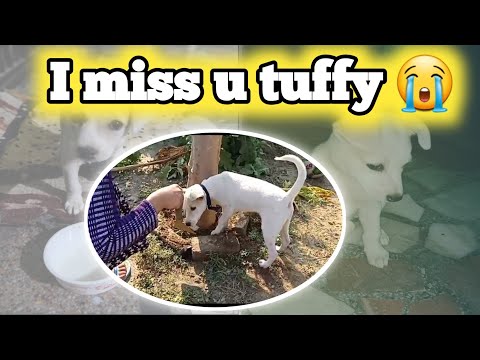 "Wo Pal Jo Kabhi Laut Kar Nahi Aayenge… Miss You Bbu💔"