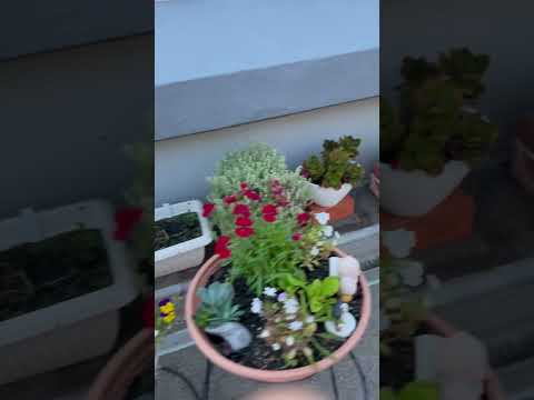 植物を健康に保つための庭でのバナナの皮の 5 つの使い方  庭園