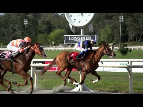 221001 c06 PELE MACIA (BRZ)