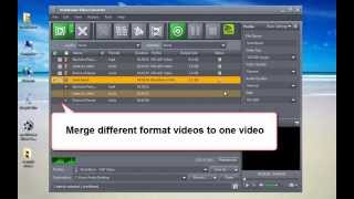mediAvatar Video Converter - how to convert AVI MPEG MKV WMV FLV 3GP MP4 videos...