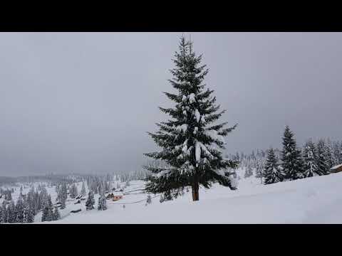 Bine ați venit la Marisel