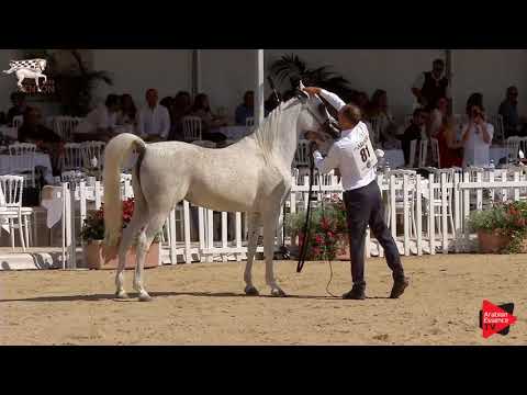 N.81 MAISA AL NASSER - Menton 2019