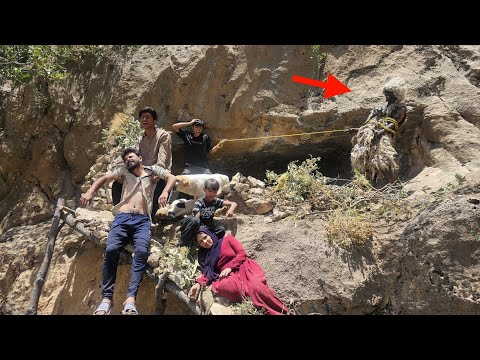 Tears of Displacement: The Bitter Story of the Destruction of Hussein's Hut and the Wounded Widow