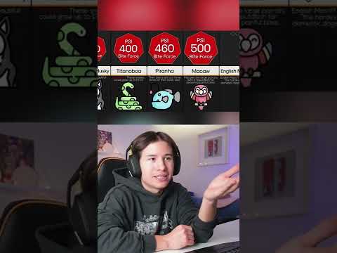 Diese Tiere haben die stärksten Bisse 😳🦷