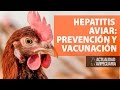 Recommendations For Preventing Avian Hepatitis