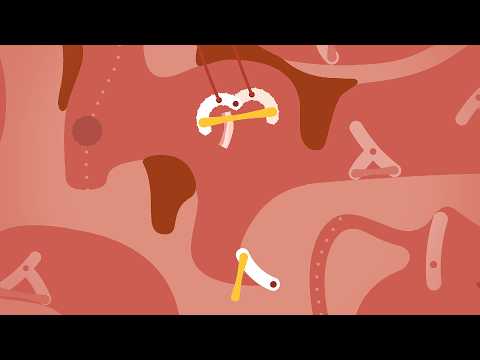 Видео Bacon in Zane #1