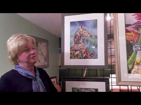 Diane Gronewold Pastel Artist Studio Tour Part 2