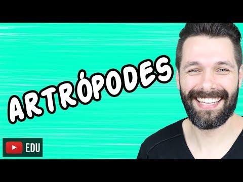 ARTRÓPODES - INTRODUÇÃO - ZOOLOGIA | Biologia com Samuel Cunha