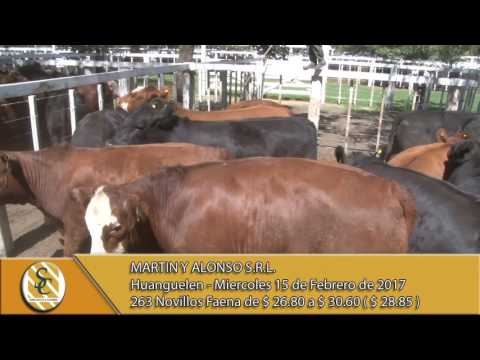 15-02-17 Venta de Novillos Gordos - Martin y Alonso S.R.L. - Huanguelen