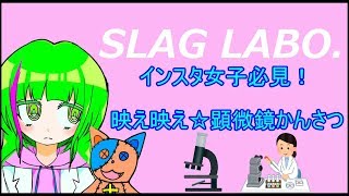 【インスタ女子必見！？】映え映え☆顕微鏡かんさつ