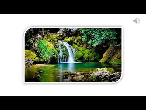 #70 RENDIDO A SUS PIES MANANTIAL DE INSPIRACIÓN