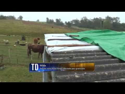 Nilda - Vecina zona Paso Serpa afectada por granizada