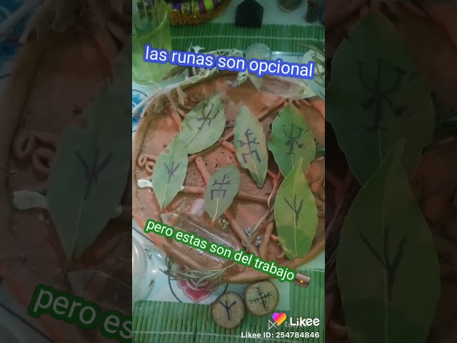 Vídeo relacionado con Velón Verde Claro para Encontrar Trabajo, Ascender o tener Armonía en Él. Duración aproximada de 3 días y 13x6cm. Incluye funda ignífuga transparente.