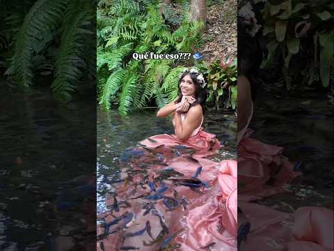 Qué fue eso 😳??? 🐟 #quinceañera #miamiquinces #photoshoot #quinceanera #misquince #miami #quince