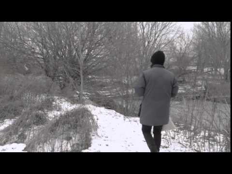 The Feral Cat Colony of Walmart