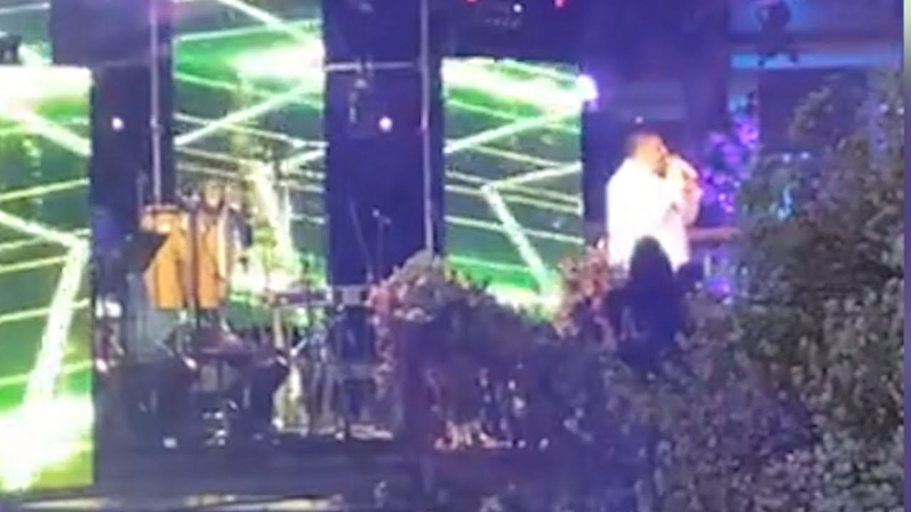 Արմենչիկի կատարումը Ծառուկյանի որդու հարսանիքին․ բացառիկ տեսանյութ