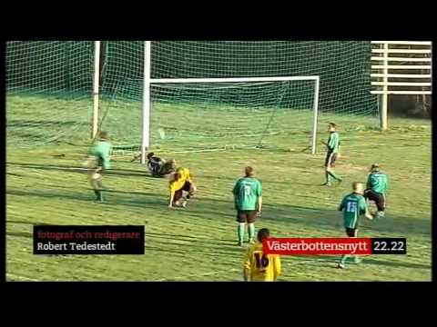 Sveriges hetaste målskytt (fotboll 2010)