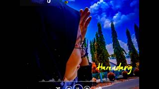 Download lagu Story wa ' HAREUDANG ' mp3