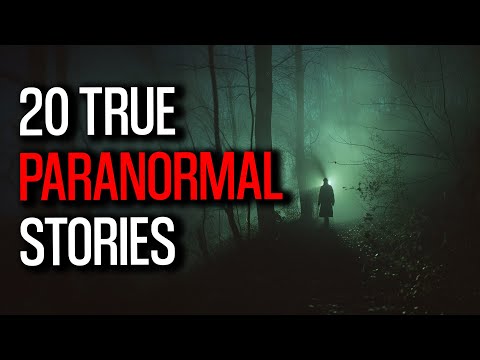 20 Shocking True Paranormal Stories   A Terrifying Night in the Wilderness