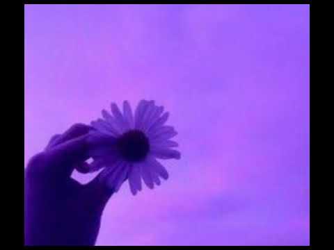 Sinta a vibe✌🏻✨