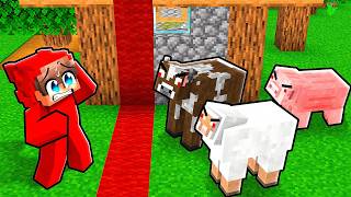 Video thumbnail image