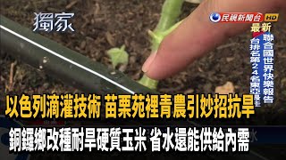 Re: [新聞] 破天荒！嘉南平原面臨全年稻作休耕危機