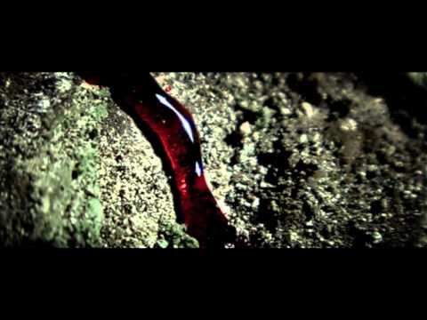 Red Warlock - Awakening OFFICIAL VIDEO (HD) 2010