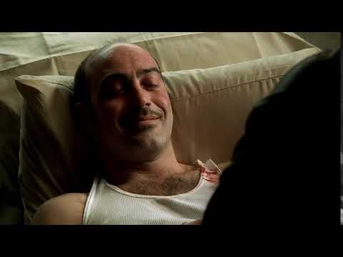 A pók most kiengedte a legyet a hálójából - Maffiózók