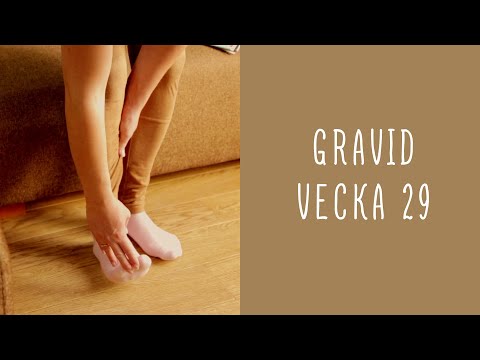 Gravid vecka 29