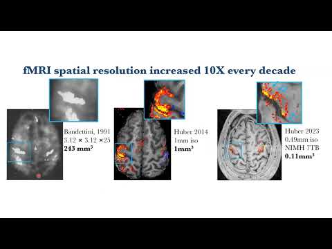 Peter Bandettini: Future direction: Will Laminar  fMRI Change Human Neuroscience?