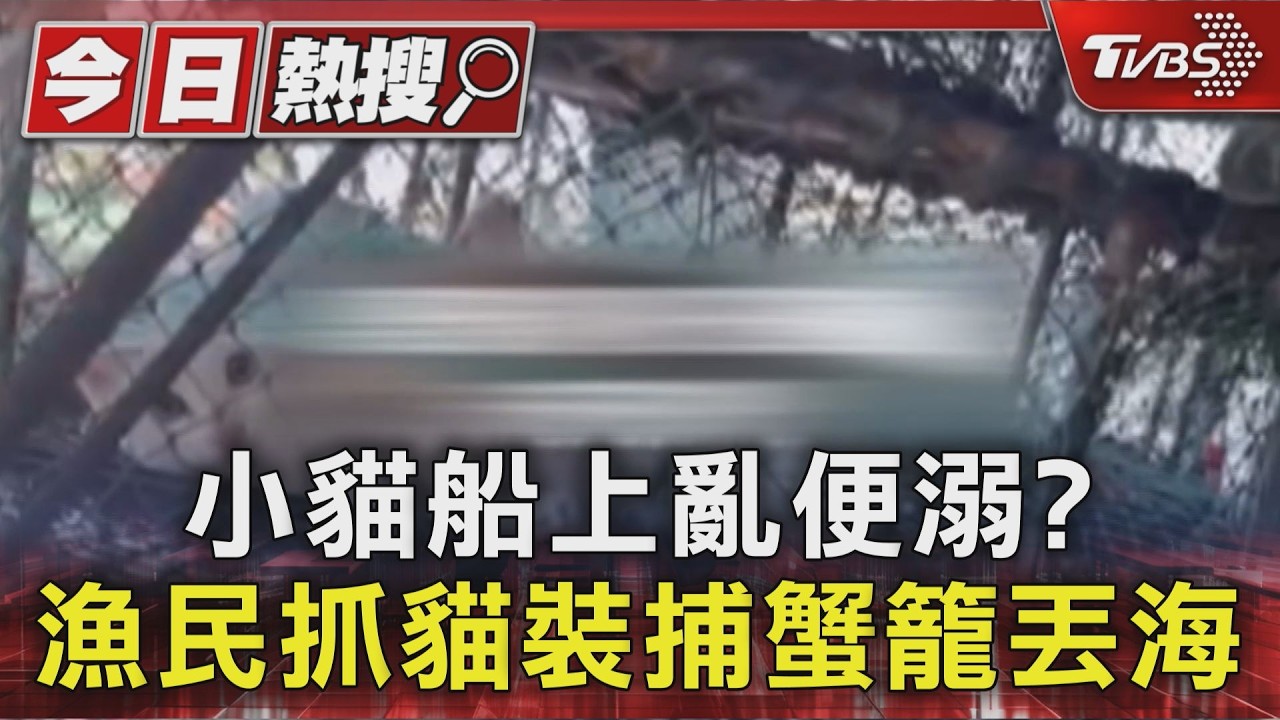 影音/小貓船上亂便溺?漁民抓貓裝捕蟹籠丟海 影片曝光惹眾怒