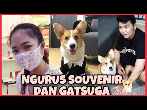 keriweuhan-pilih-souvenir-dan-pakein-baju-suga-marsella-vania