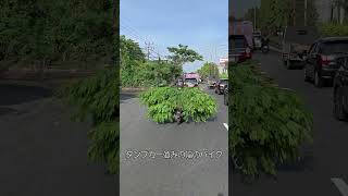 【バリ島の風景】ダンプカー並みの幅のバイク