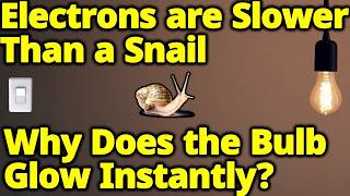 What Is Electricity? If Electrons Move Slower Than a Snail, Why Do Lights Turn On Instantly?
